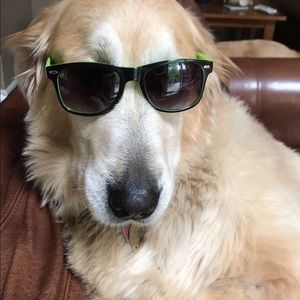 Meet your Posher, Connor